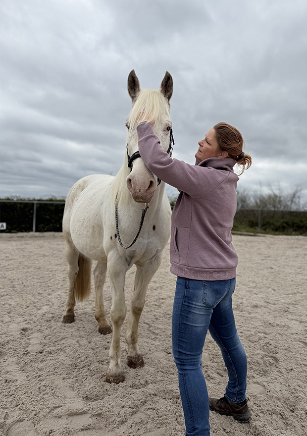 Equida Bild