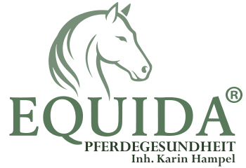 Logo Equida